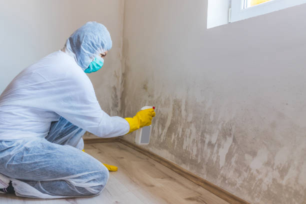 Hvac And Air Duct Mold Remediation inspection of HVAC system in Houtzdale